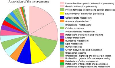 Microbiomes, diet flexibility, and the spread of a beetle parasite of honey bees